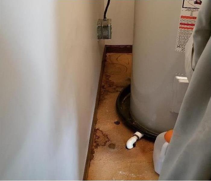A utility room with a hot water heater with visible mold growth near it