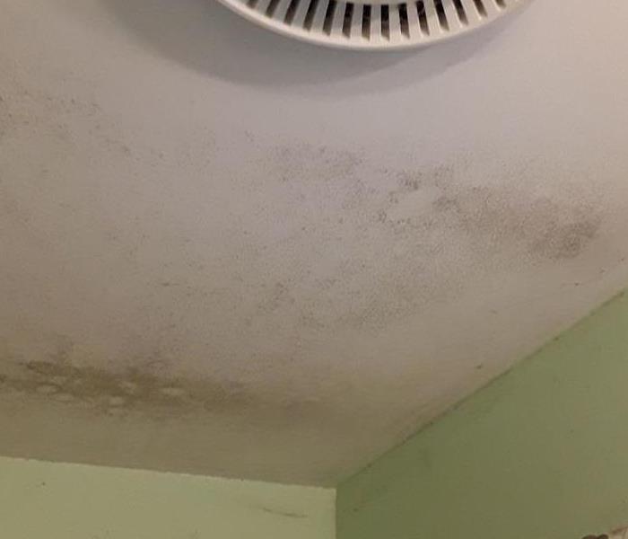 White ceiling with dark mold spots