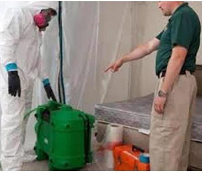 Certified Mold Professionals Are Talking