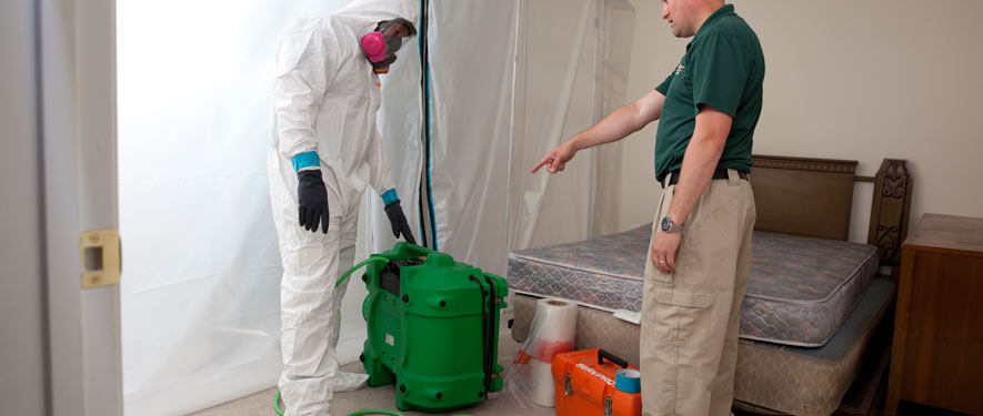 Berlin, NJ mold removal process